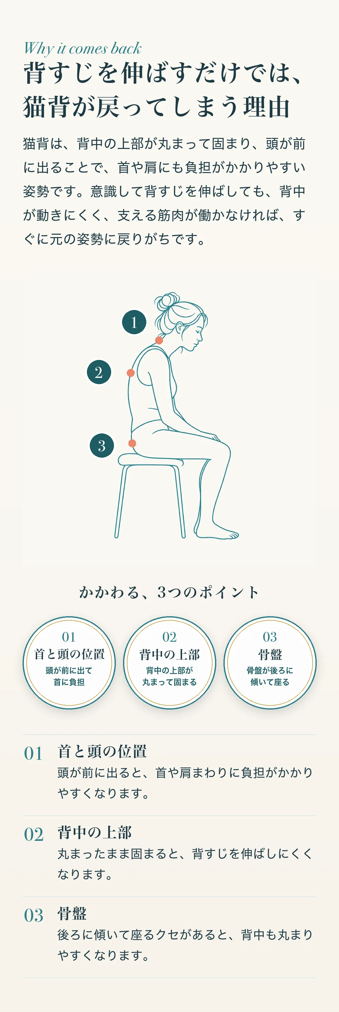 背すじを伸ばすだけでは、猫背が戻ってしまう理由 猫背は、背中の上部が丸まって固まり、頭が前に出ることで、首や肩にも負担がかかりやすい姿勢です。意識して背すじを伸ばしても、背中が動きにくく、支える筋肉が働かなければ、すぐに元の姿勢に戻りがちです。 1. 首と頭の位置：頭が前に出ると、首や肩まわりに負担がかかりやすくなります。 2. 背中の上部：丸まったまま固まると、背すじを伸ばしにくくなります。 3. 骨盤：後ろに傾いて座るクセがあると、背中も丸まりやすくなります。